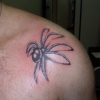 Tatuagem aranha1site.jpg
